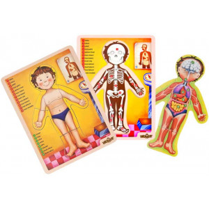 WOODY puzzle human body 90324