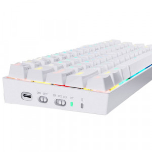 RADRAGON Draconic K530W Mechanical Gaming Keyboard White