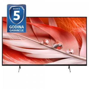 SONY TV 4K Ultra HD XR65X90JCEP Smart 