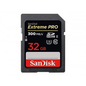 SANDISK memorijska kartica SDXC 32GB SDSDXPK-032G-GN4IN