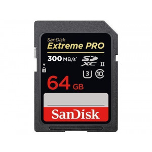 SANDISK memorijska kartica SDXC 64GB SDSDXPK-064G-GN4IN