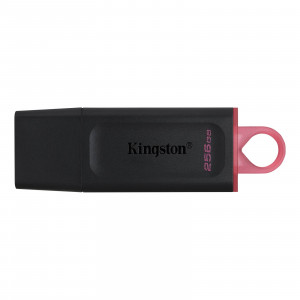 KINGSTON USB Flash 256GB DTX/256GB USB 3.2