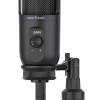 WS DSM 03 TAUS, Microphone