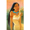 DISNEY Princeza Pocahontas HLW07