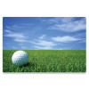 MANHATTAN Skin za laptop - golf 475808
