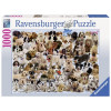 RAVENSBURGER puzzle (slagalice)- katalog pasa RA15633