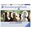 RAVENSBURGER puzzle (slagalice)- divlji konji panorama RA15091