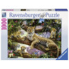 RAVENSBURGER puzzle - porodica leoparda RA19148