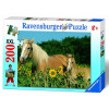 RAVENSBURGER puzzle (slagalice) - Konji i suncokreti RA12628