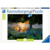 RAVENSBURGER puzzle (slagalice) - magična scena RA14719