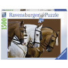 RAVENSBURGER puzzle (slagalice) - dva braon jedan beli konj RA16339