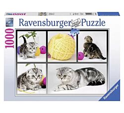 Ravensburger puzzle - Znatiželjni mačići RA19545