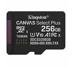 Kingston Memorijska kartica 256 GB SDCS3/256GBSP
