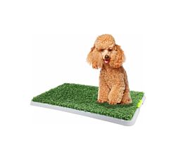 Pawise Zamena trave - Zeleni toalet za dresere pasa A2200365