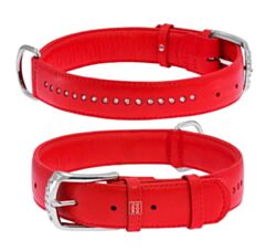 CLR WD Ogrlica za pse 30 x 39 cm - Crvena  A2202583