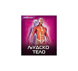 Pčelica Ljudsko telo 47366263