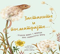 VULKAN Knjiga Zastanite i posmatrajte čudesni život u prirodi kroz zadivljujuće priče